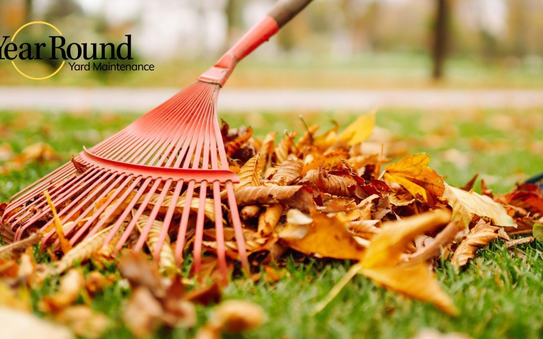 Eco-friendly Leaf Removal in Victoria: A Comprehensive Guide for Sustainable Yard Care