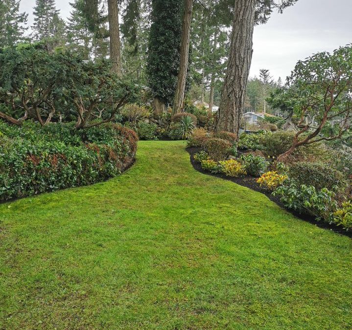 Preparing Your Lawn for Fall in Victoria BC with YRYM