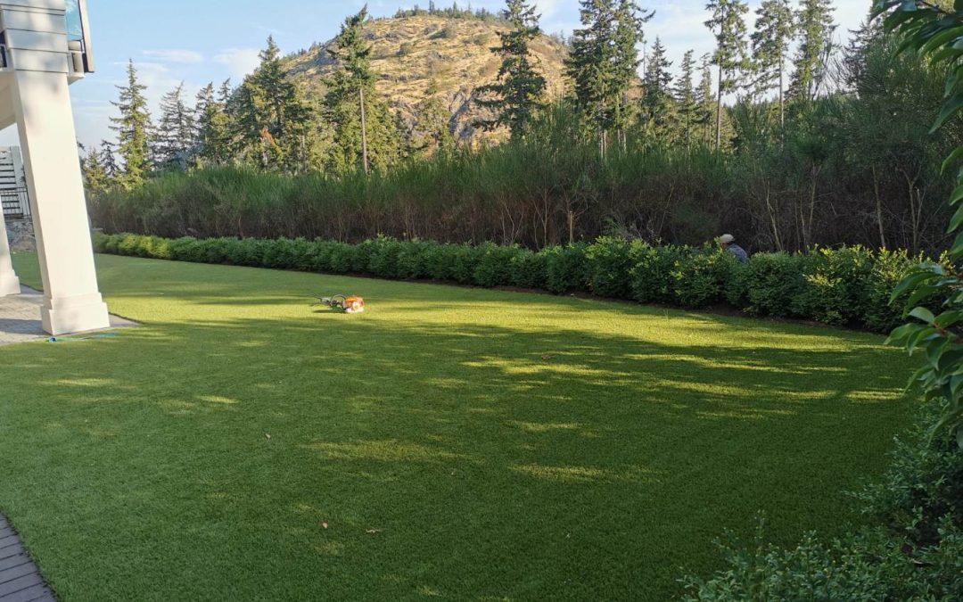 Maximizing Your Lawn’s Potential: The Best Time to for Fall Overseeding