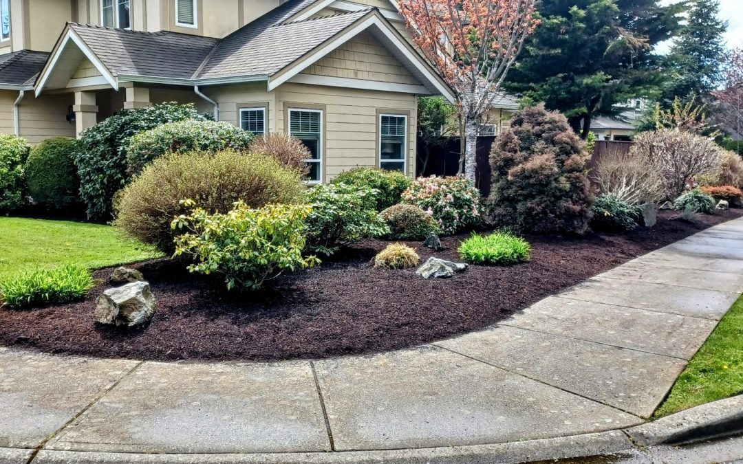 Fall Cleanup Service in Victoria BC: Make Your Yard Shine with Us!